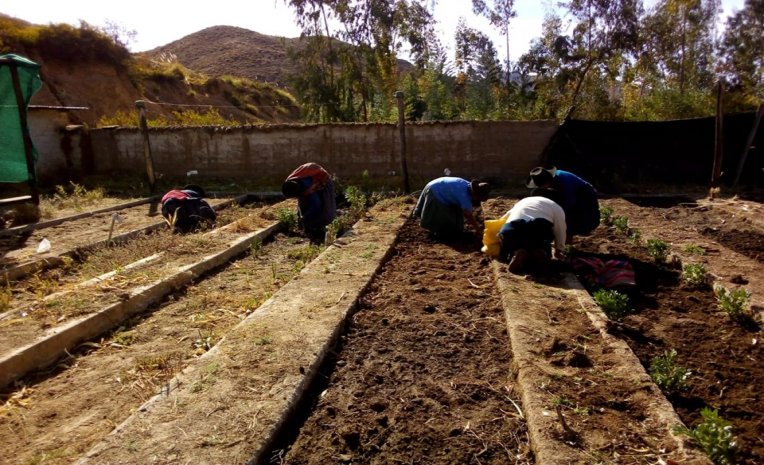 ACTIVIDADES AGRÍCOLAS CON LOS INTEGRANTES DEL CENTRO INTEGRAL DEL ADULTO MAYOR CIAM
