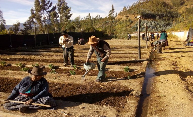 ACTIVIDADES AGRÍCOLAS CON LOS INTEGRANTES DEL CENTRO INTEGRAL DEL ADULTO MAYOR CIAM